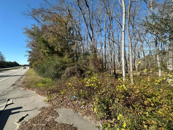 $24,950 | 0 Five Five Chop Road, Cameron, SC 29030