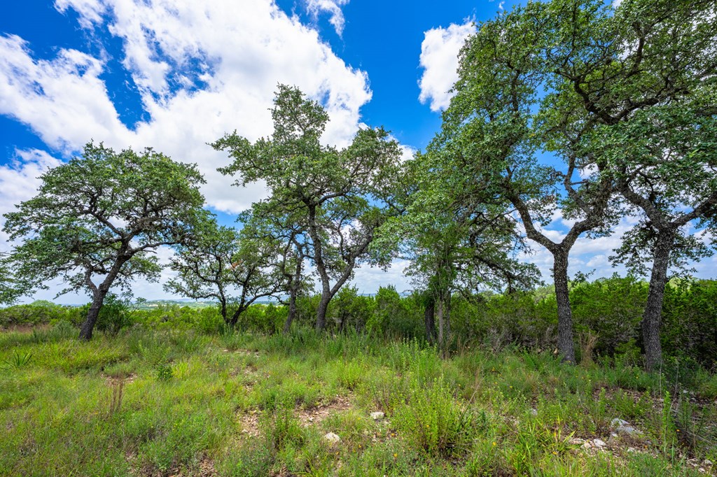 4568 Fm 2828 Bandera, TX 78003 - Photo 8 of 17