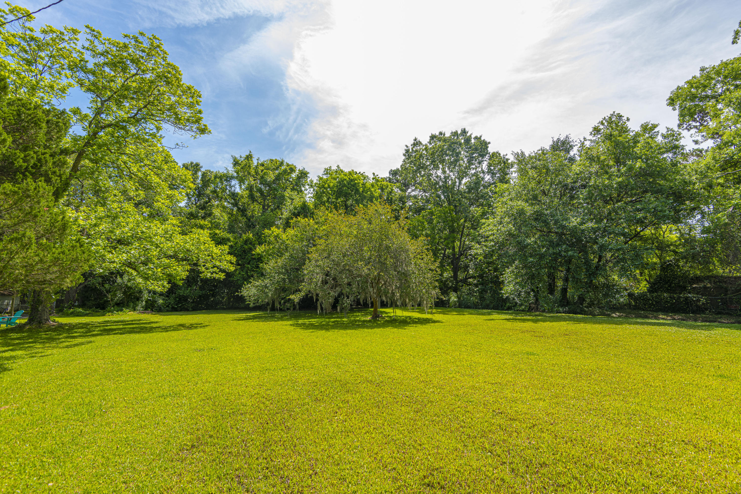 316 Wappoo Road Charleston, SC 29407 - Photo 22 of 28 Rear Yard