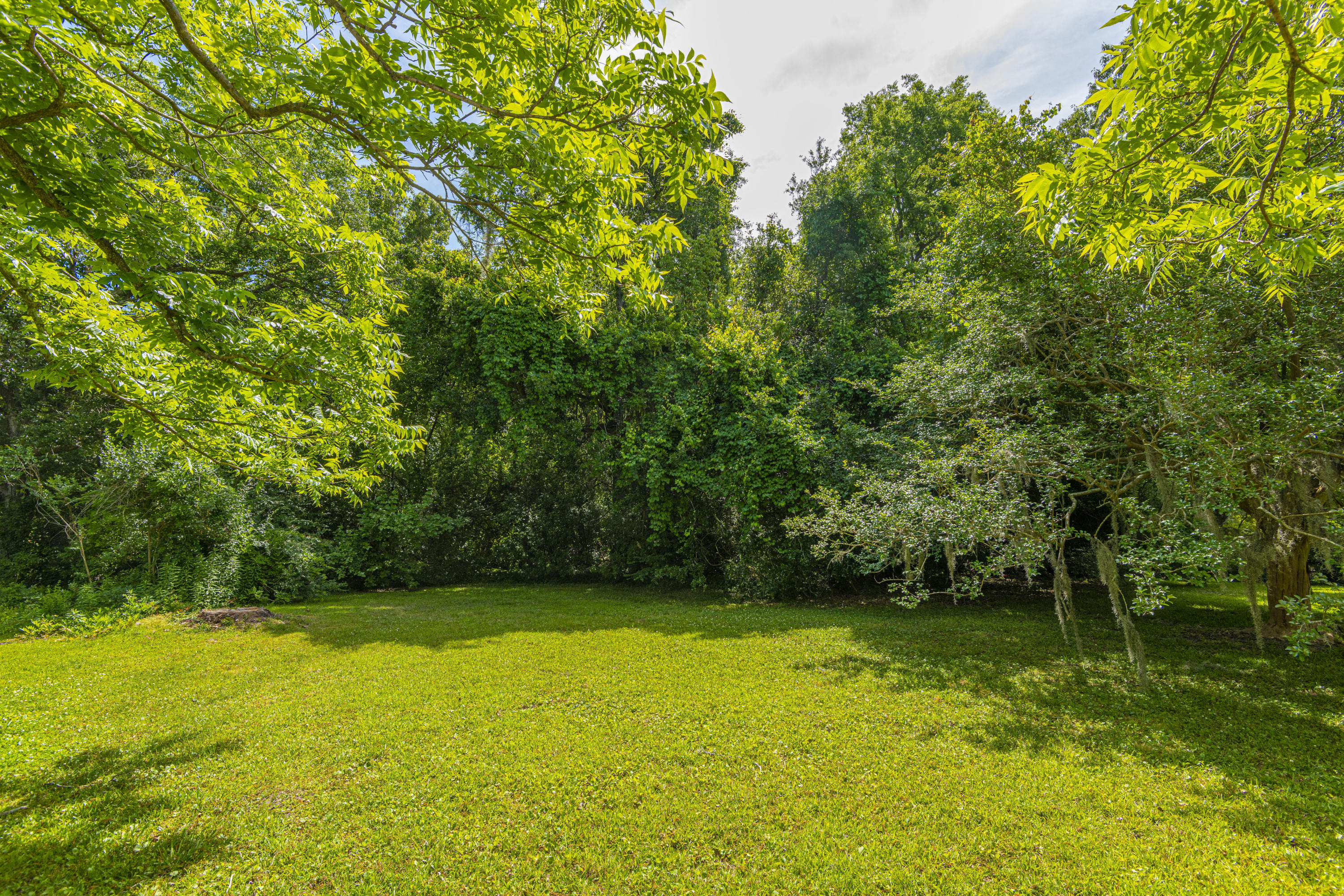 316 Wappoo Road Charleston, SC 29407 - Photo 24 of 28 Rear Yard