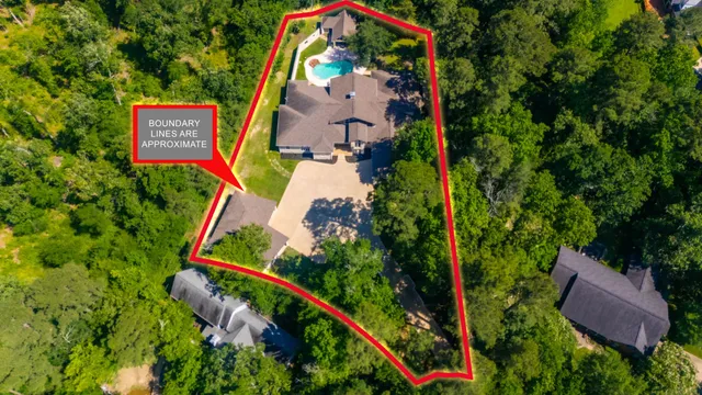 a living room with furniture a fireplace and a potted plant