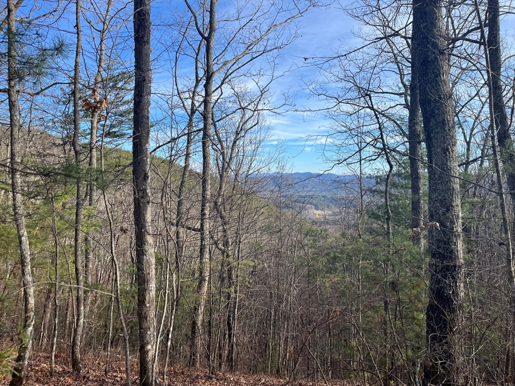 Lot 14 Patriot Ridge Murphy, NC 28906 - Photo 2 of 25