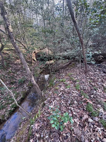 a view of a large yard with lots of plants and trees