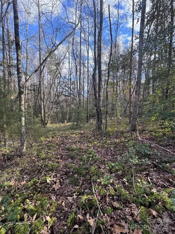 a backyard of a house with lots of plants and seating