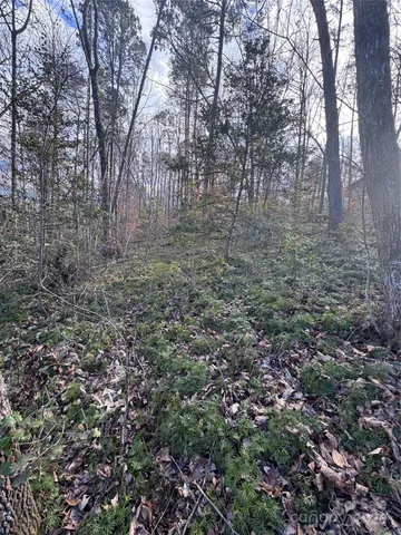 a view of a large yard with lots of bushes