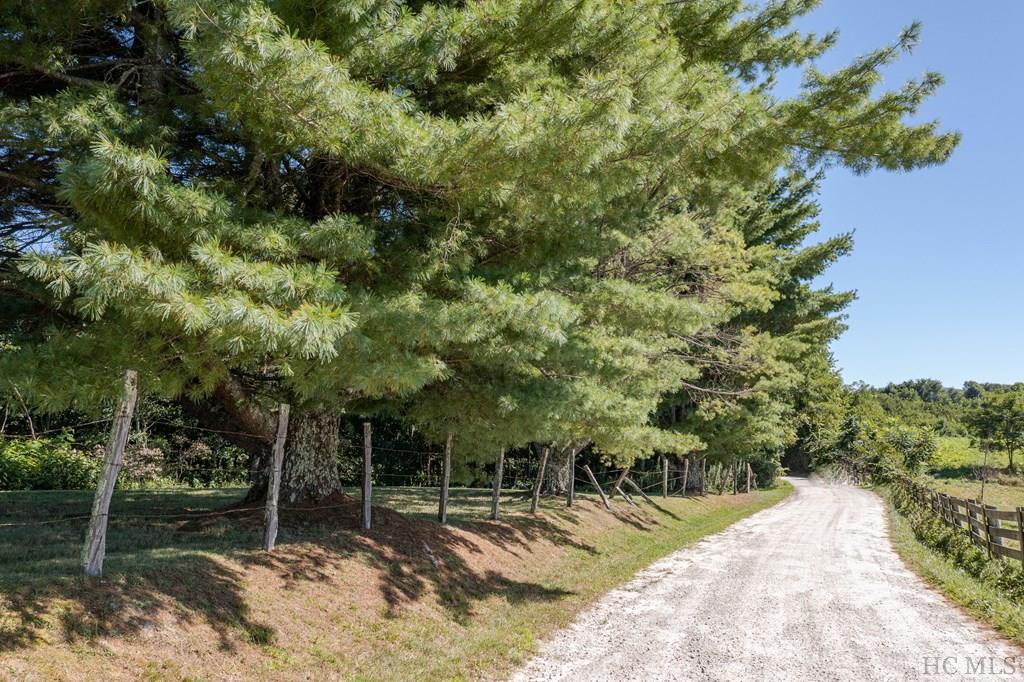 6108 Big Ridge Road Glenville, NC 28736 - Photo 3 of 27 Gallery Image 3