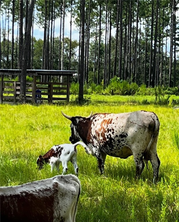 64 Olive Branch Way Folkston, GA 31537 - Photo 33 of 34