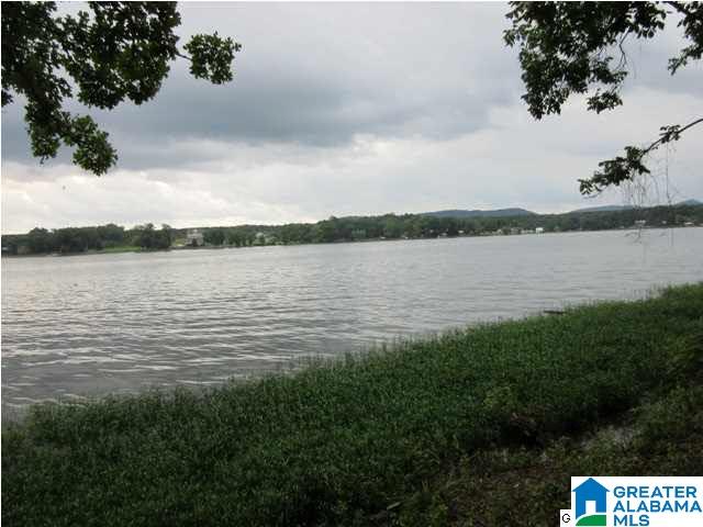 0 Timber Trail, Unit LOT 29 Sylacauga, AL 35151 - Photo 13 of 25