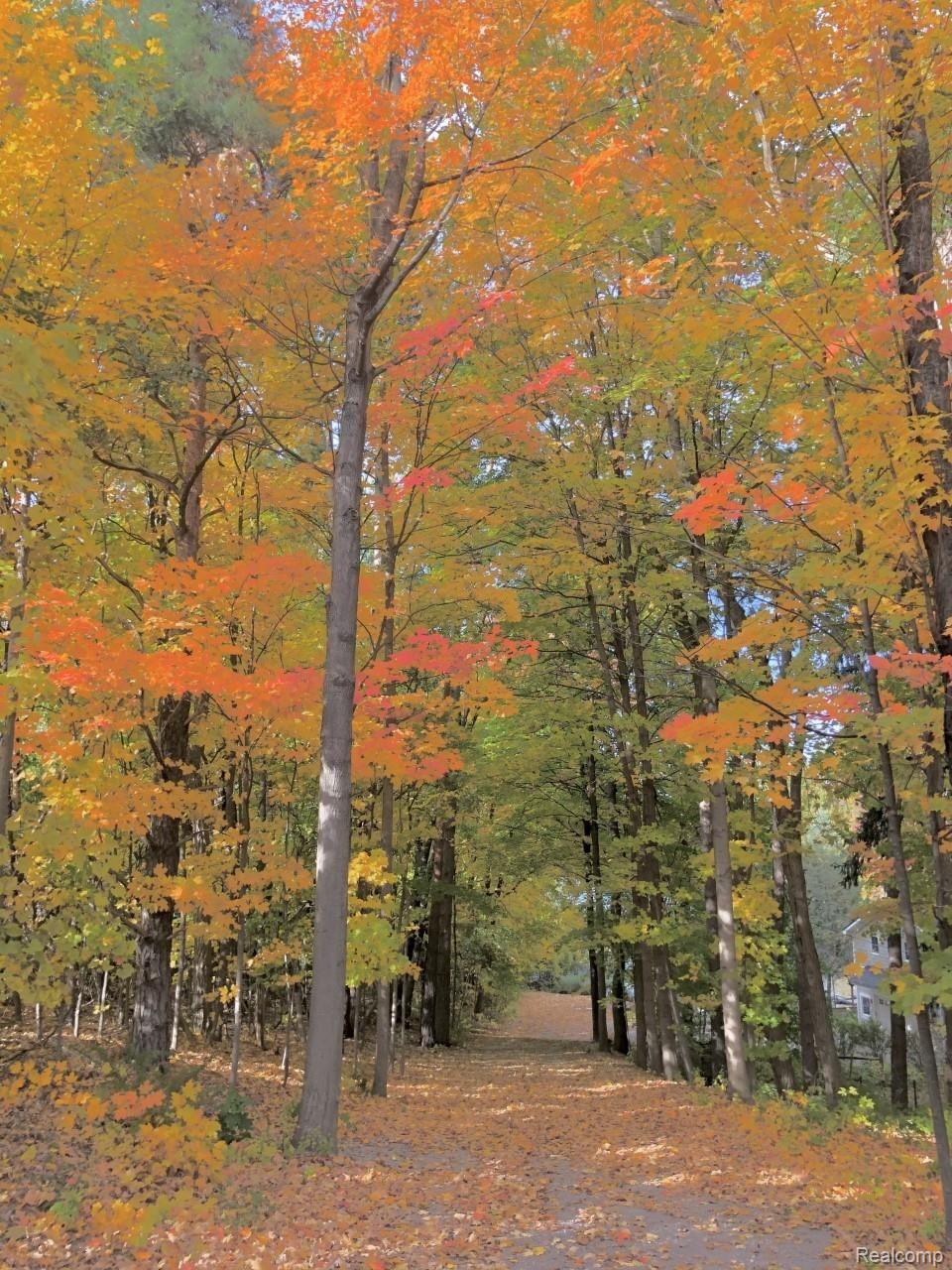 770 Lakeville Road Leonard, MI 48367 - Photo 28 of 57 Beautiful fall color