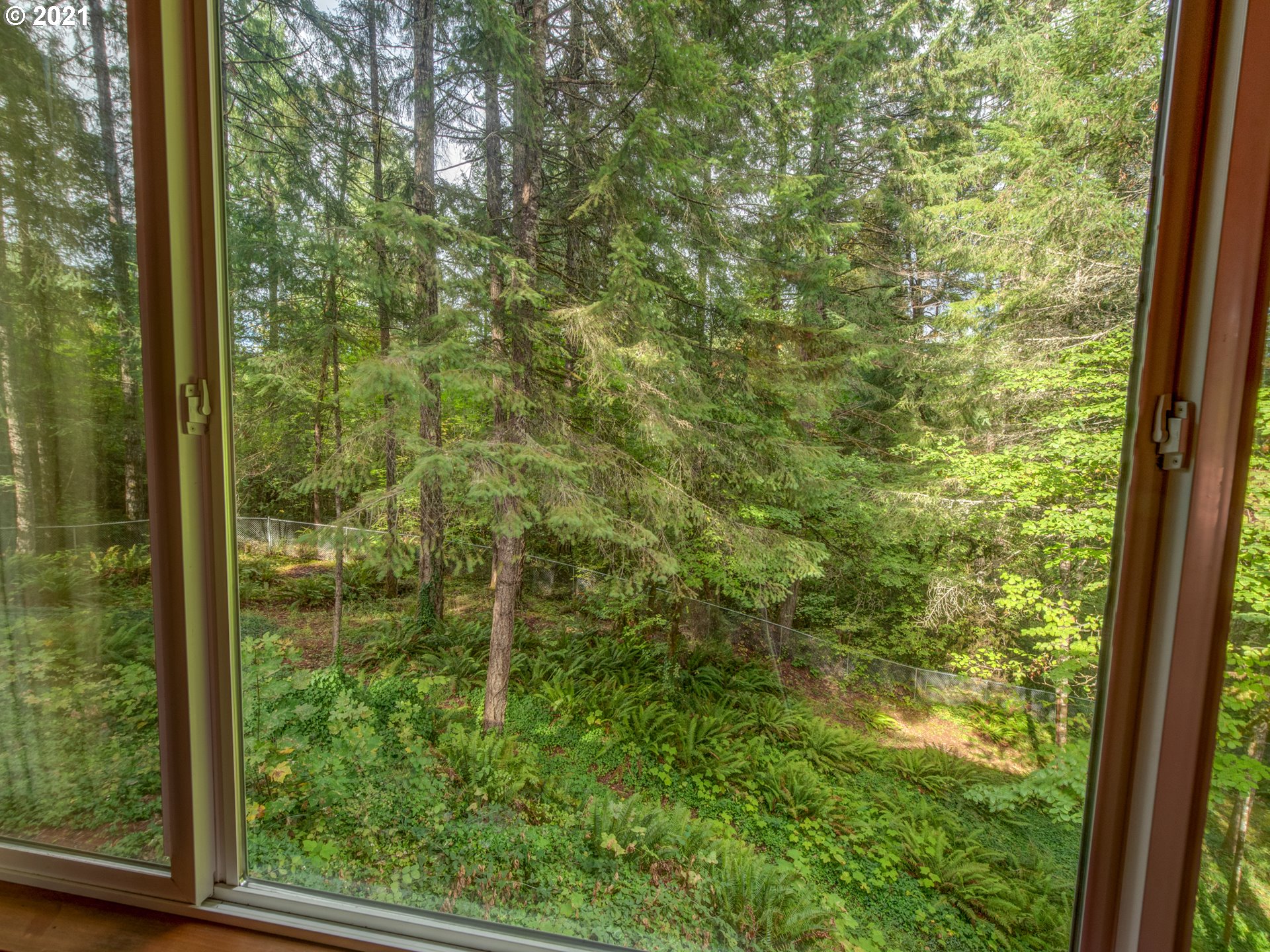 89957 Sheffler Road Elmira, OR 97437 - Photo 13 of 26 Gallery Image 13