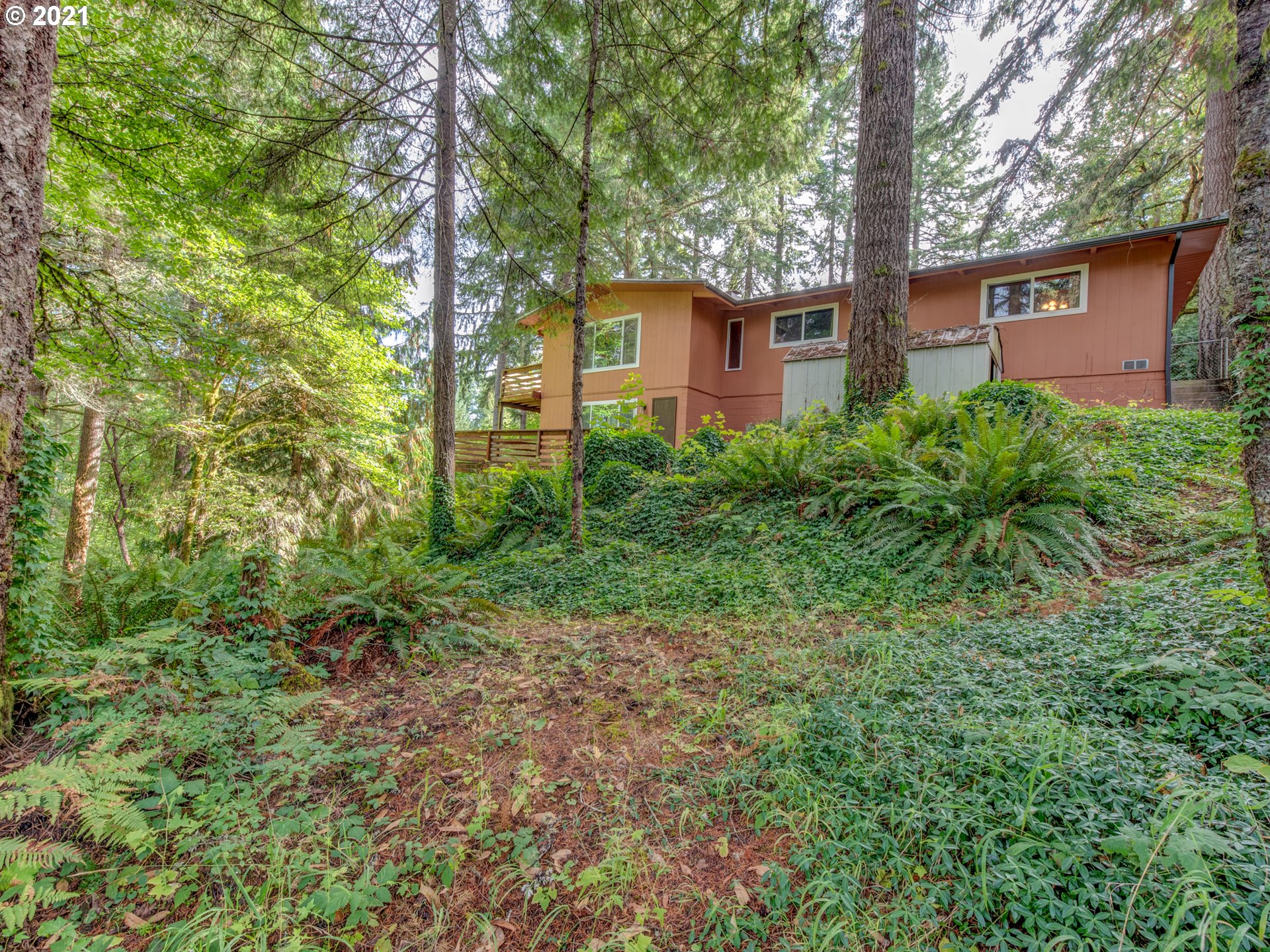 89957 Sheffler Road Elmira, OR 97437 - Photo 24 of 26 Gallery Image 24