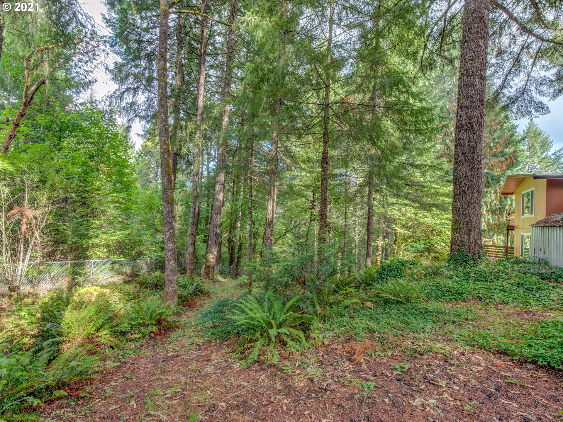 89957 Sheffler Road Elmira, OR 97437 - Photo 25 of 26 Gallery Image 25
