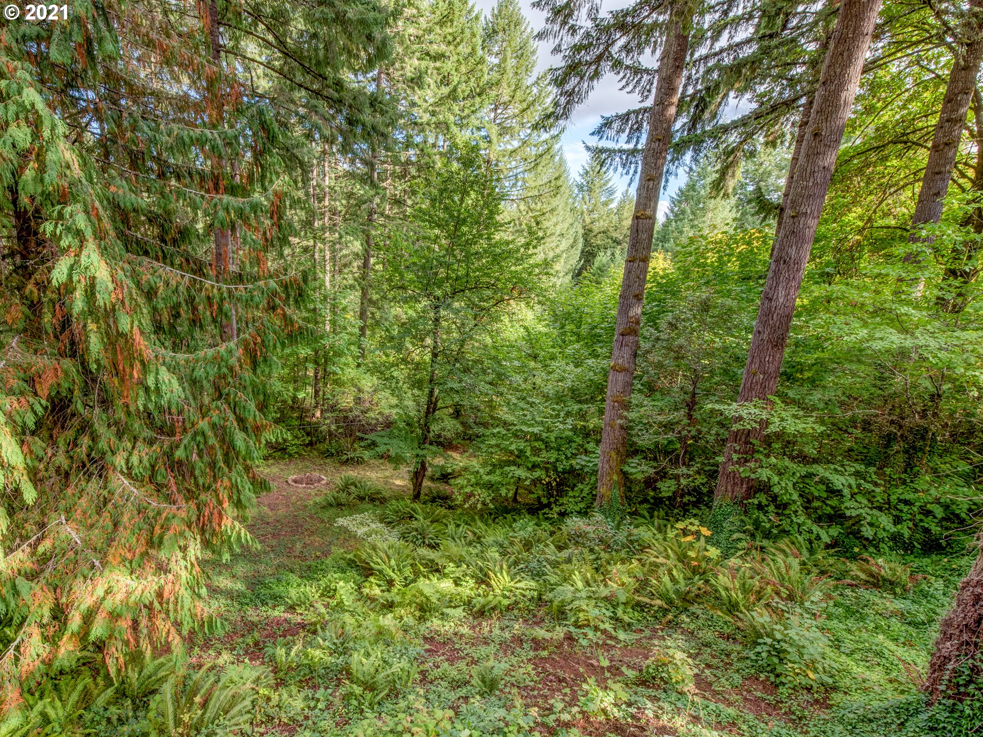 89957 Sheffler Road Elmira, OR 97437 - Photo 26 of 26 Gallery Image 26