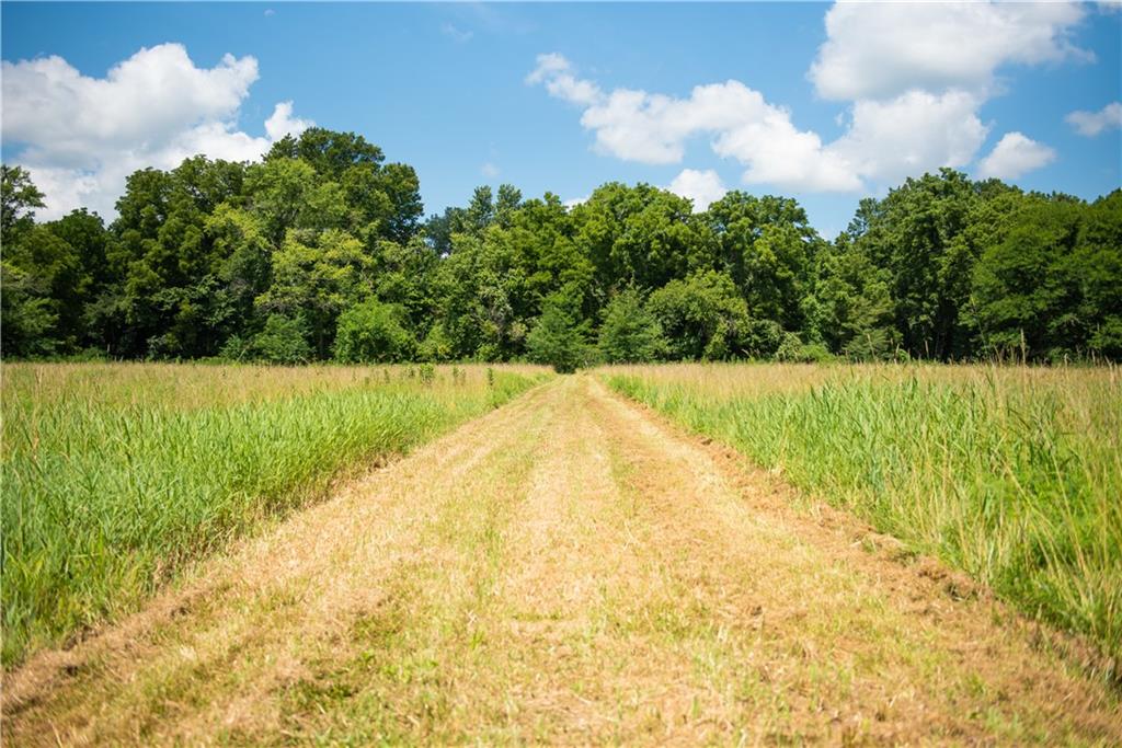 28 Northwest 1501st Road Holden, MO 64040 - Photo 77 of 84