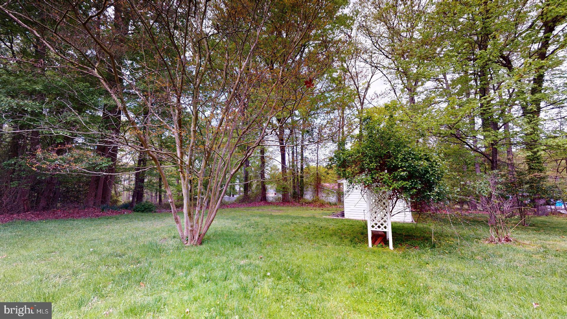 5308 Lanham Station Road Lanham, MD 20706 - Photo 80 of 83 View of Yard with Shet
