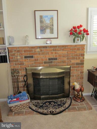 8916 Spur Road Springfield, VA 22153 - Photo 17 of 19 Fireplace