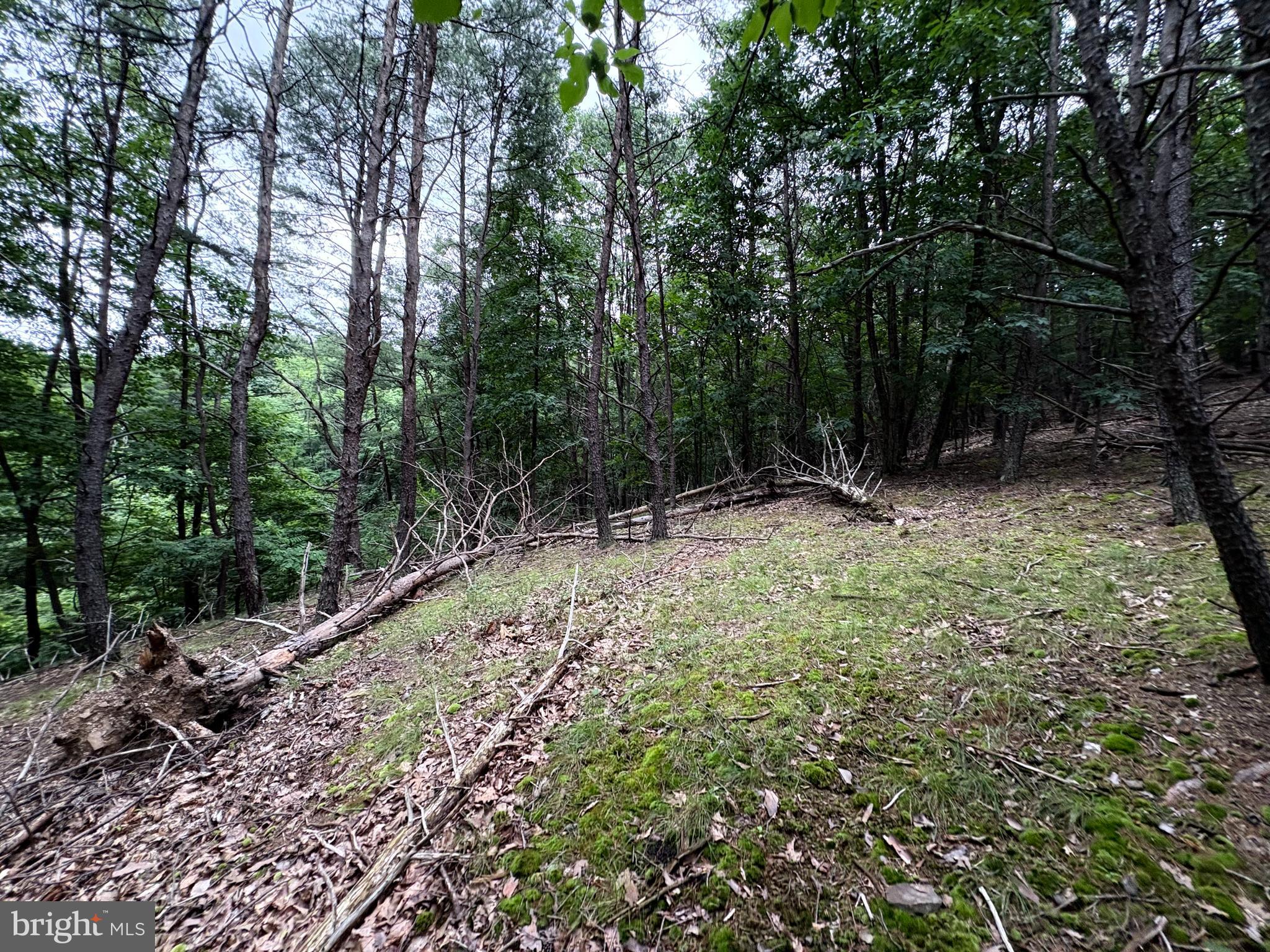 Lot 126 Bluffs Blue Beach Road Springfield, WV 26763 - Photo 14 of 20