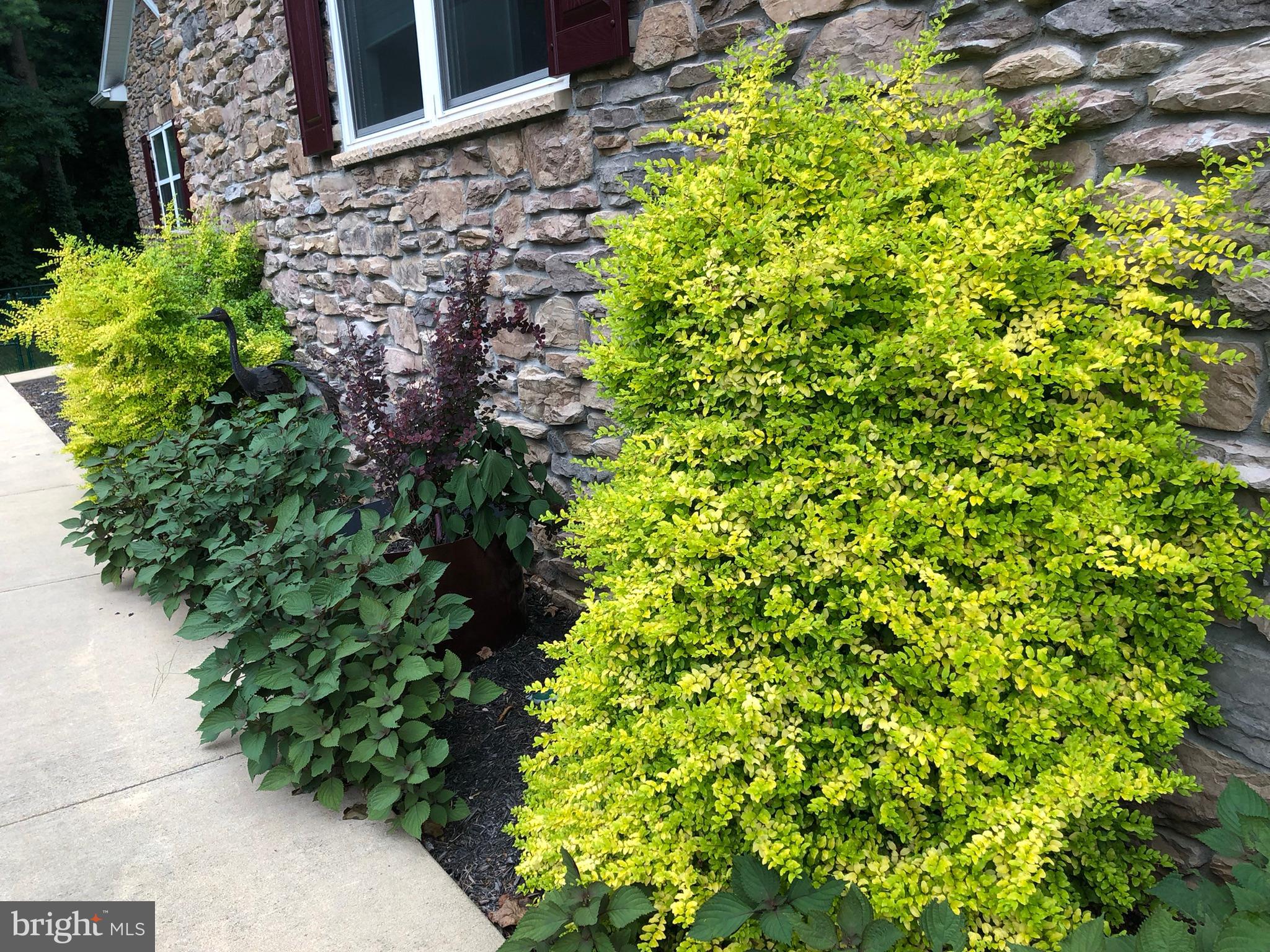 7206 Drought Spring Drive Frederick, MD 21702 - Photo 40 of 56