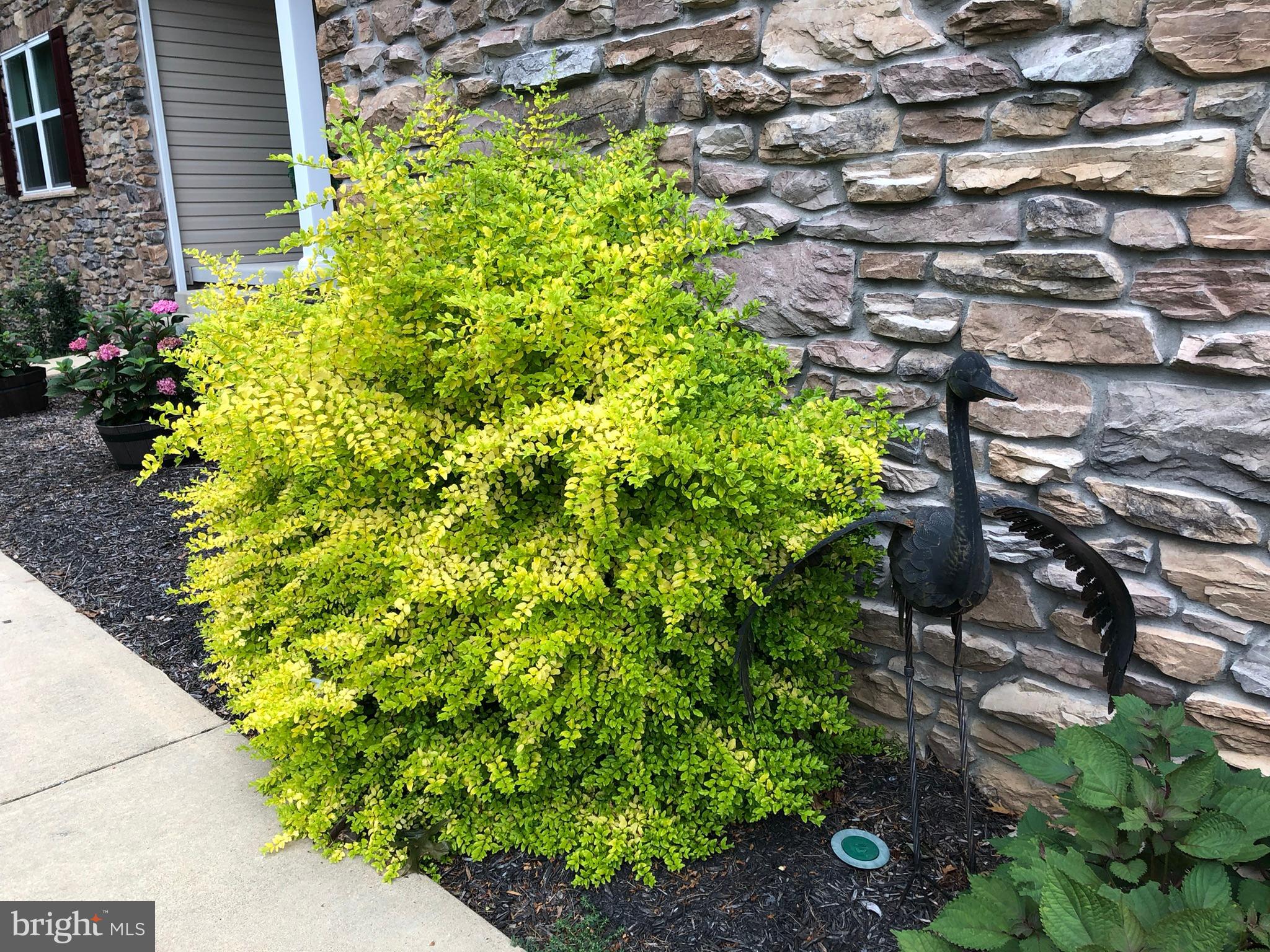 7206 Drought Spring Drive Frederick, MD 21702 - Photo 41 of 56