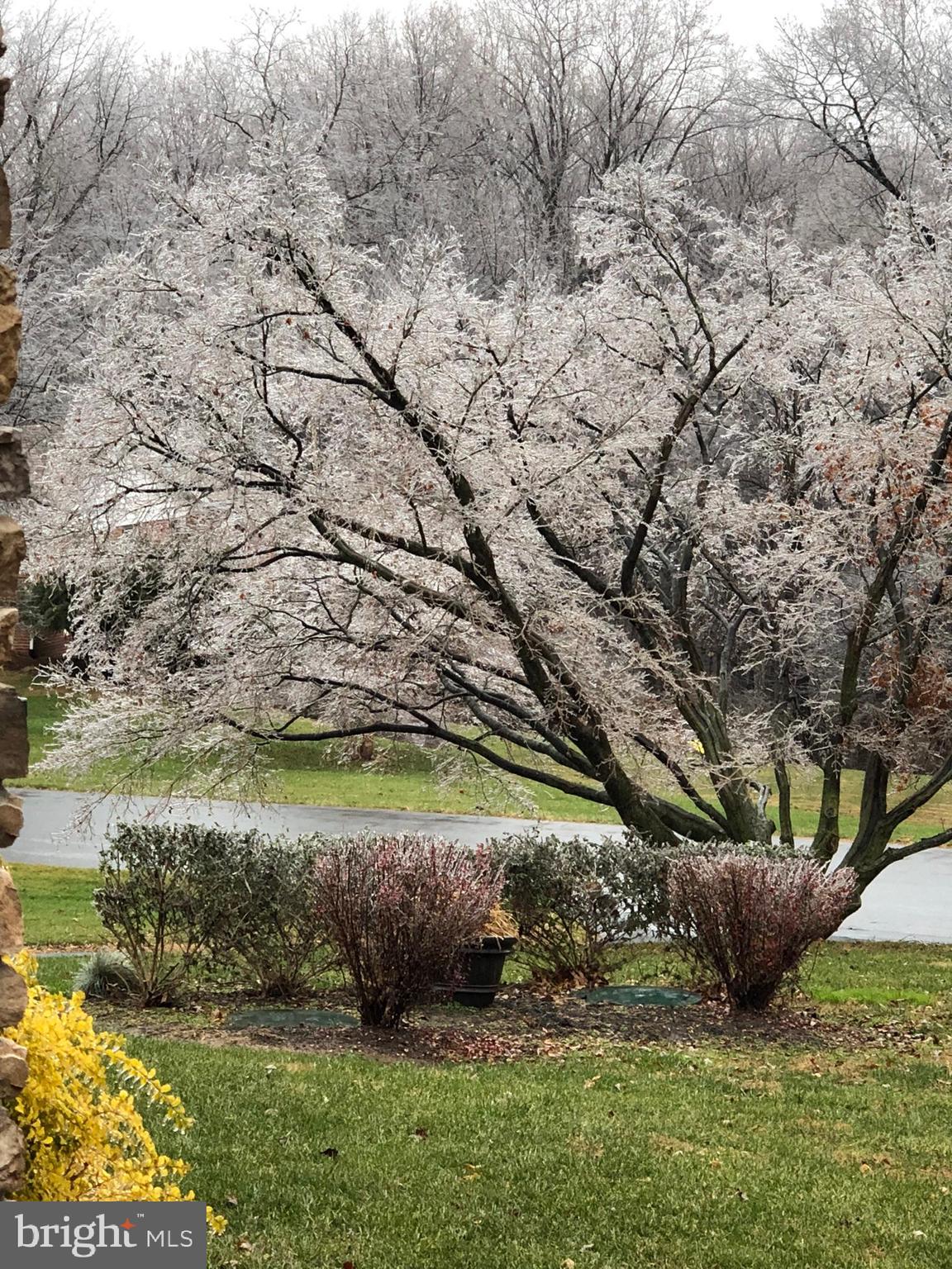 7206 Drought Spring Drive Frederick, MD 21702 - Photo 43 of 56