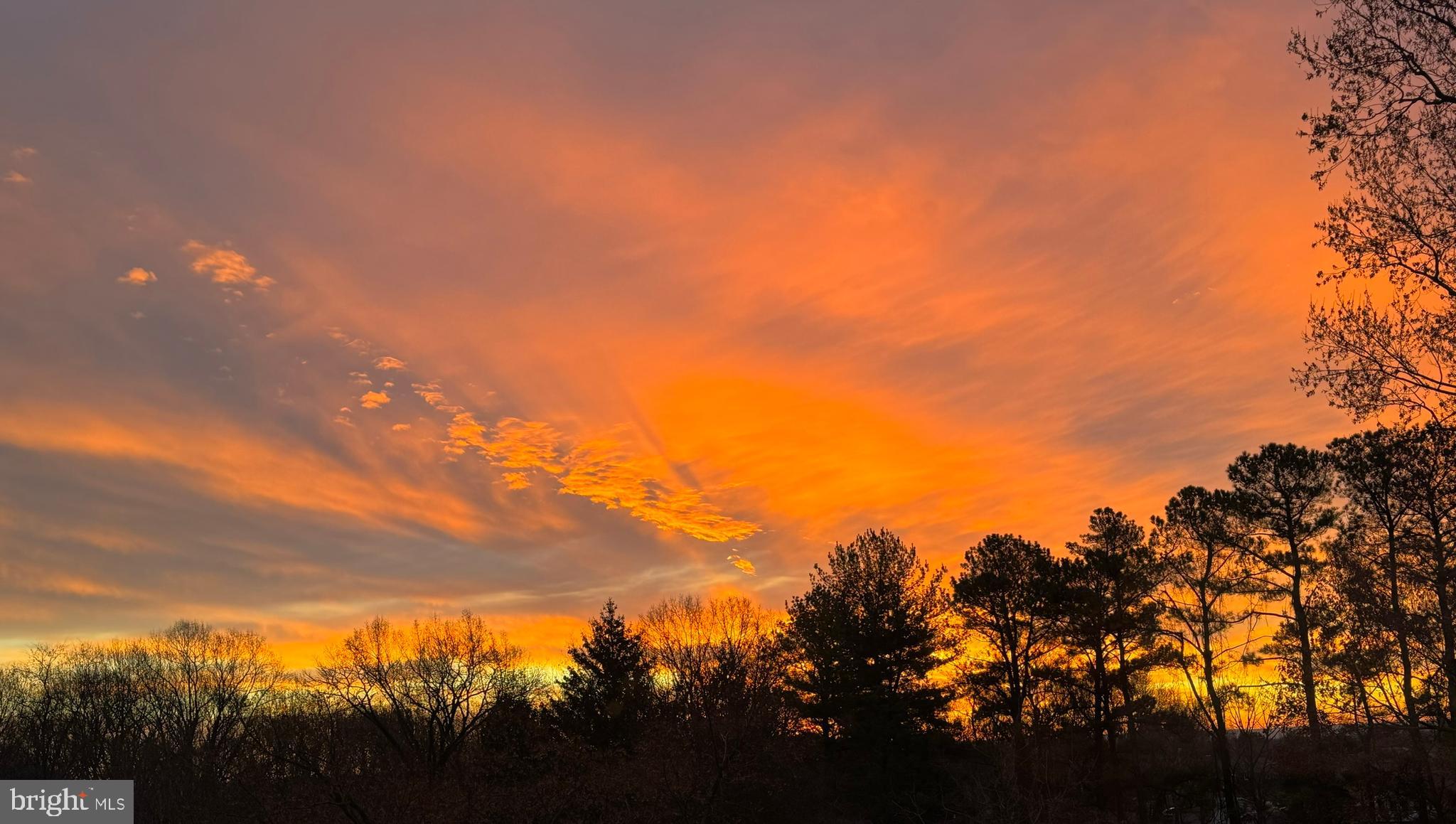 7206 Drought Spring Drive Frederick, MD 21702 - Photo 45 of 56