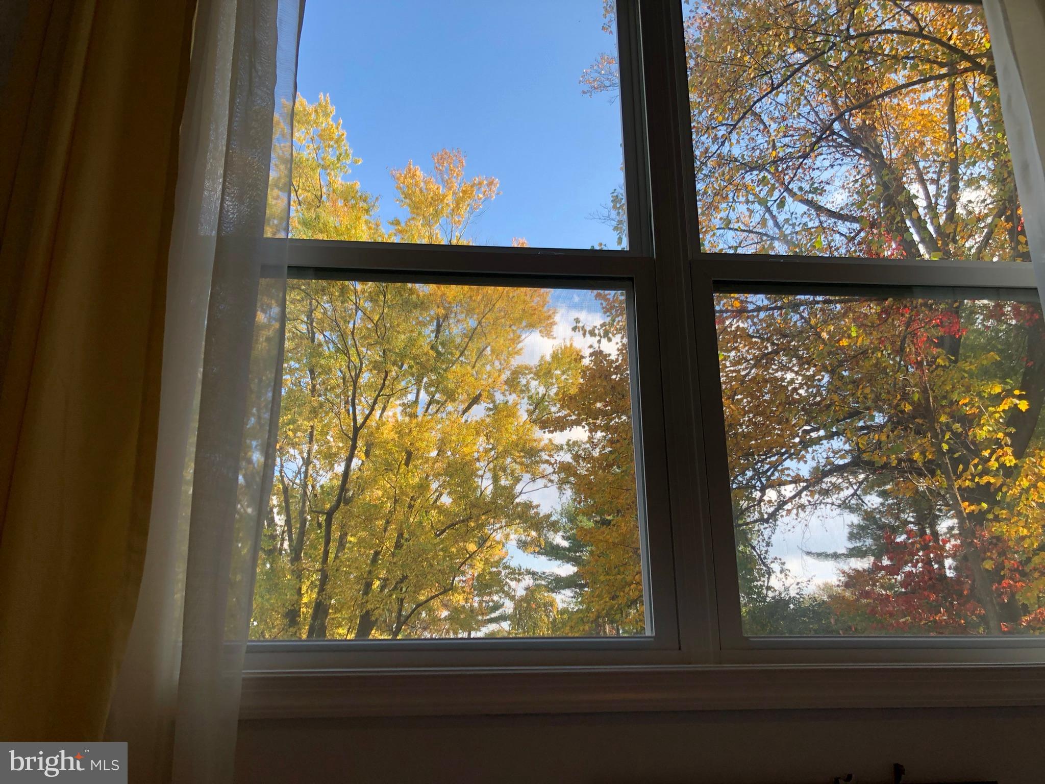 7206 Drought Spring Drive Frederick, MD 21702 - Photo 54 of 56