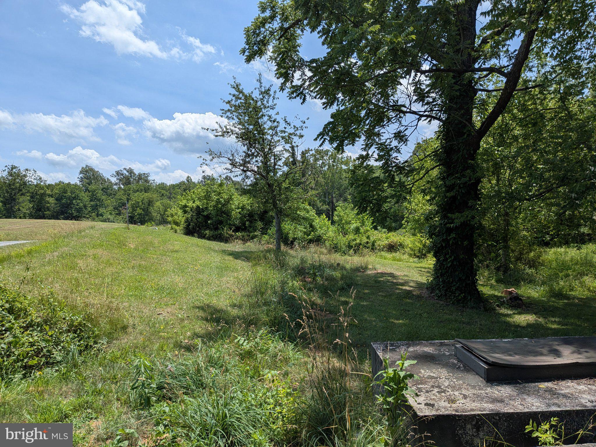 10198 Old Rapidan Road Orange, VA 22960 - Photo 27 of 29 Serene countryside retreat awaits.