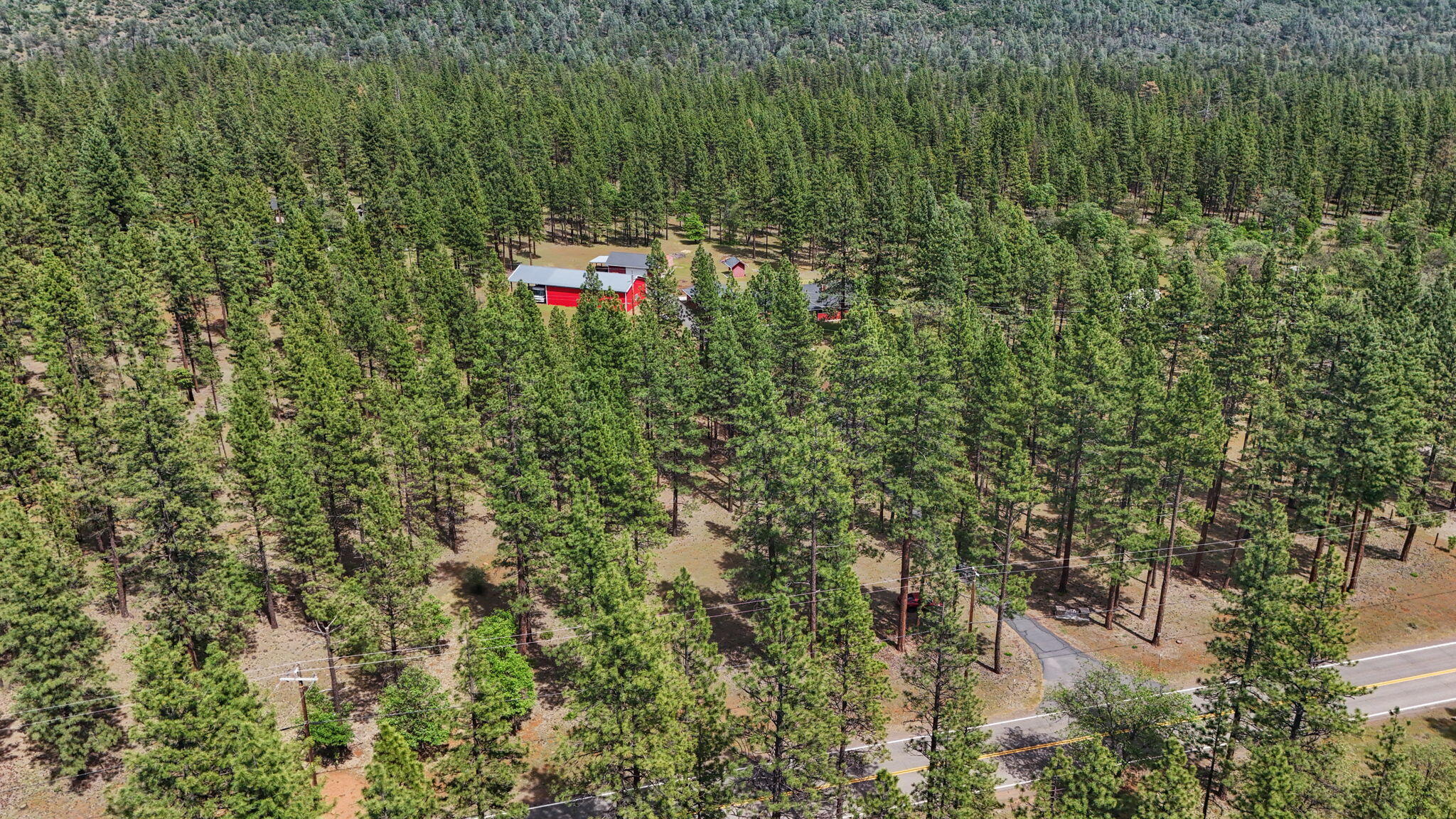 22657 Cassel Road Cassel, CA 96016 - Photo 3 of 72 2-web-or-mls-DJI_20260512140044_0010_D_1