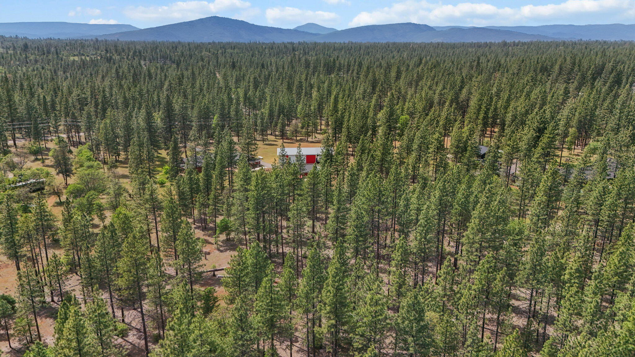 22657 Cassel Road Cassel, CA 96016 - Photo 67 of 72 5-web-or-mls-DJI_20260512140301_0025_D_1