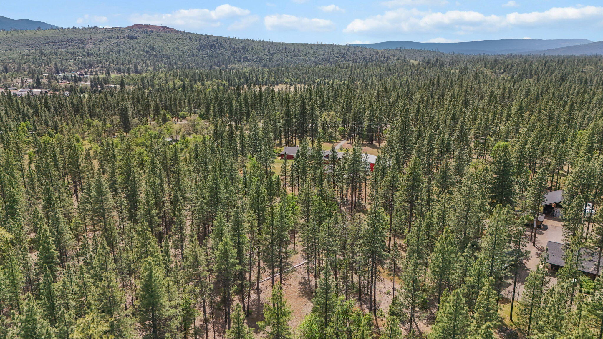 22657 Cassel Road Cassel, CA 96016 - Photo 68 of 72 6-web-or-mls-DJI_20260512140317_0030_D_1