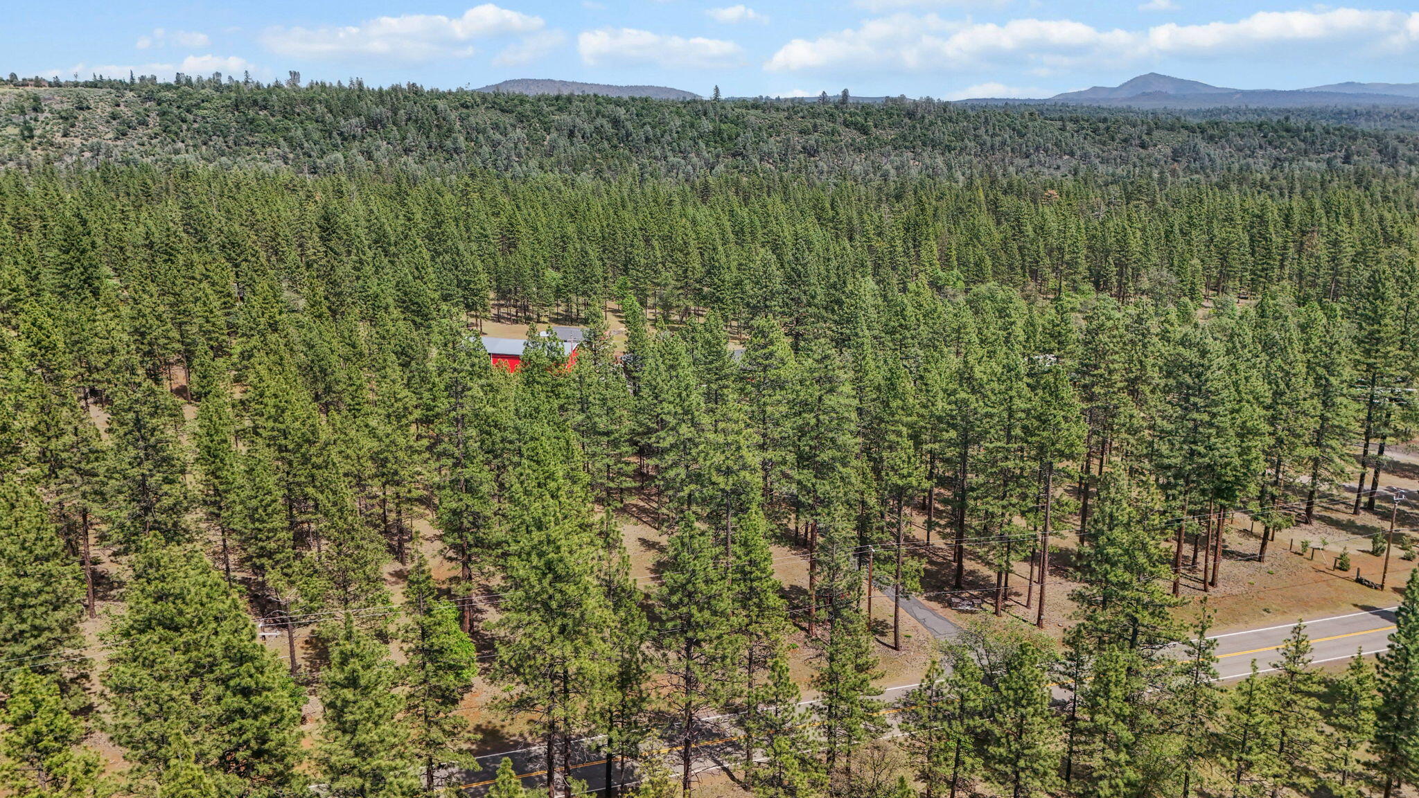 22657 Cassel Road Cassel, CA 96016 - Photo 69 of 72 7-web-or-mls-DJI_20260512140423_0035_D_1
