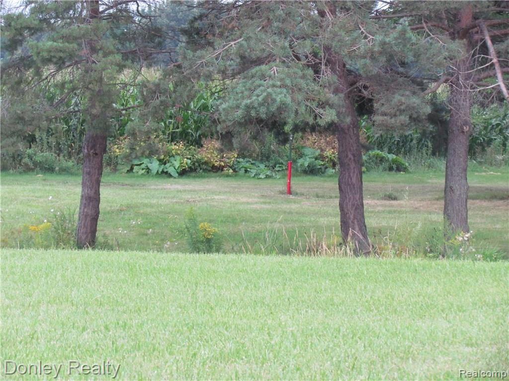 4630 Marton Road Kingston, MI 48741 - Photo 38 of 43 IMG_7835.JPG