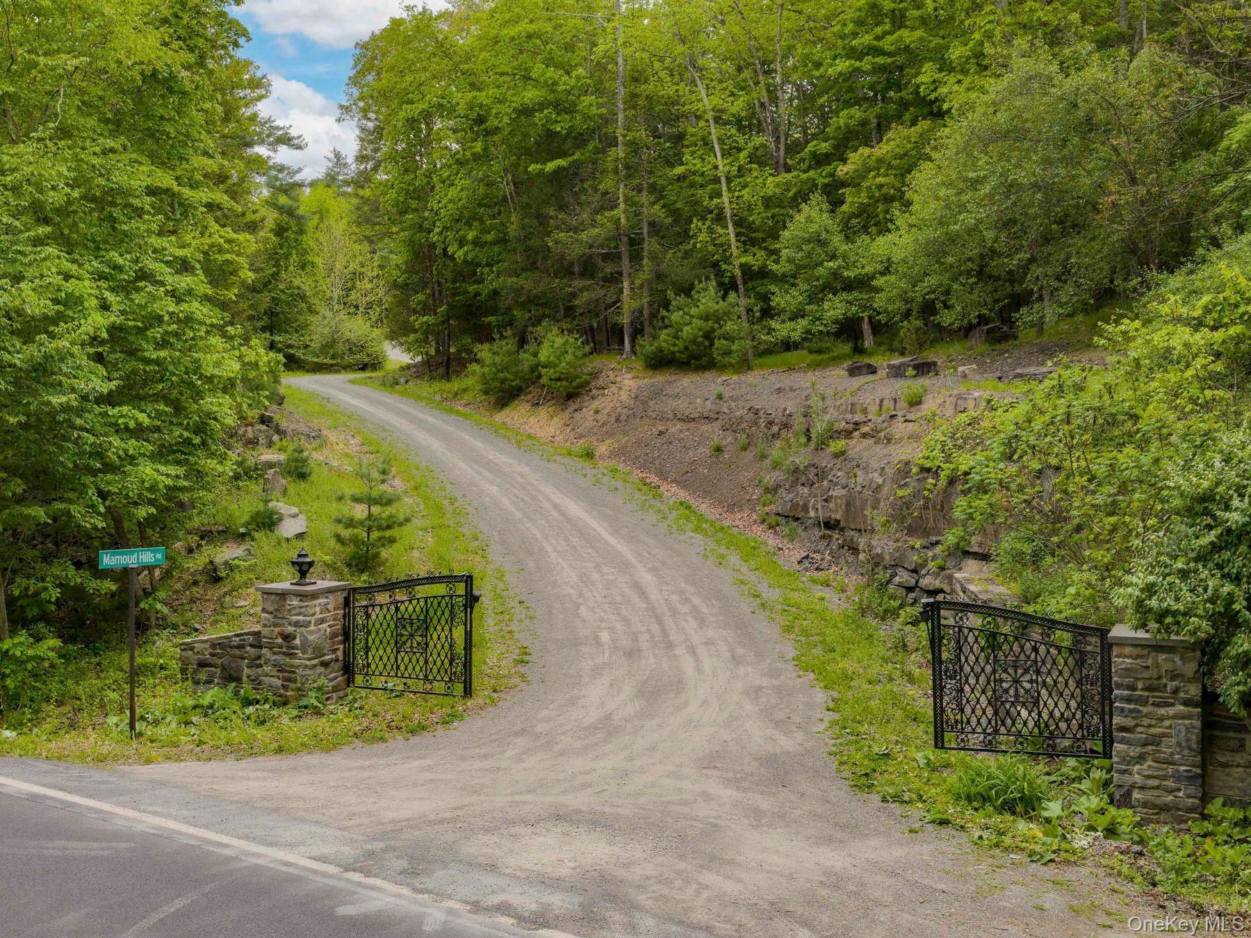 40 Mamoud Hills Road Kingston, NY 12401 - Photo 4 of 42 a view of a road with a yard