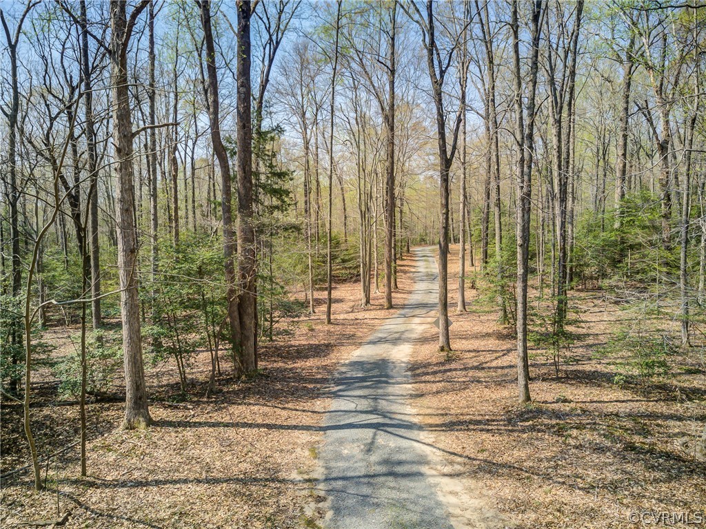 9620 Old Forge Road Providence Forge, VA 23140 - Photo 7 of 39 Elevated view of private driveway leaving the prop