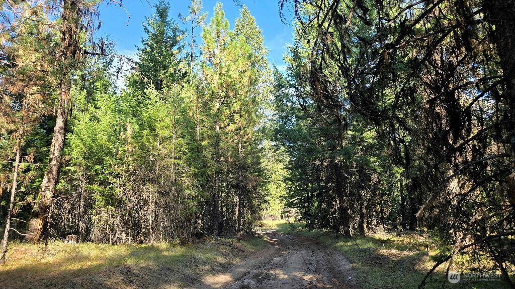 188 Rebel Road Oroville, WA 98844 - Photo 20 of 37 Gallery Image 20