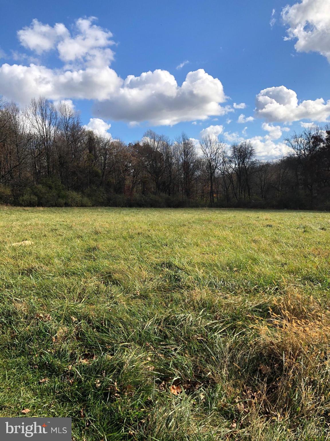 4831 Round Hill Road Frederick, MD 21702 - Photo 8 of 11