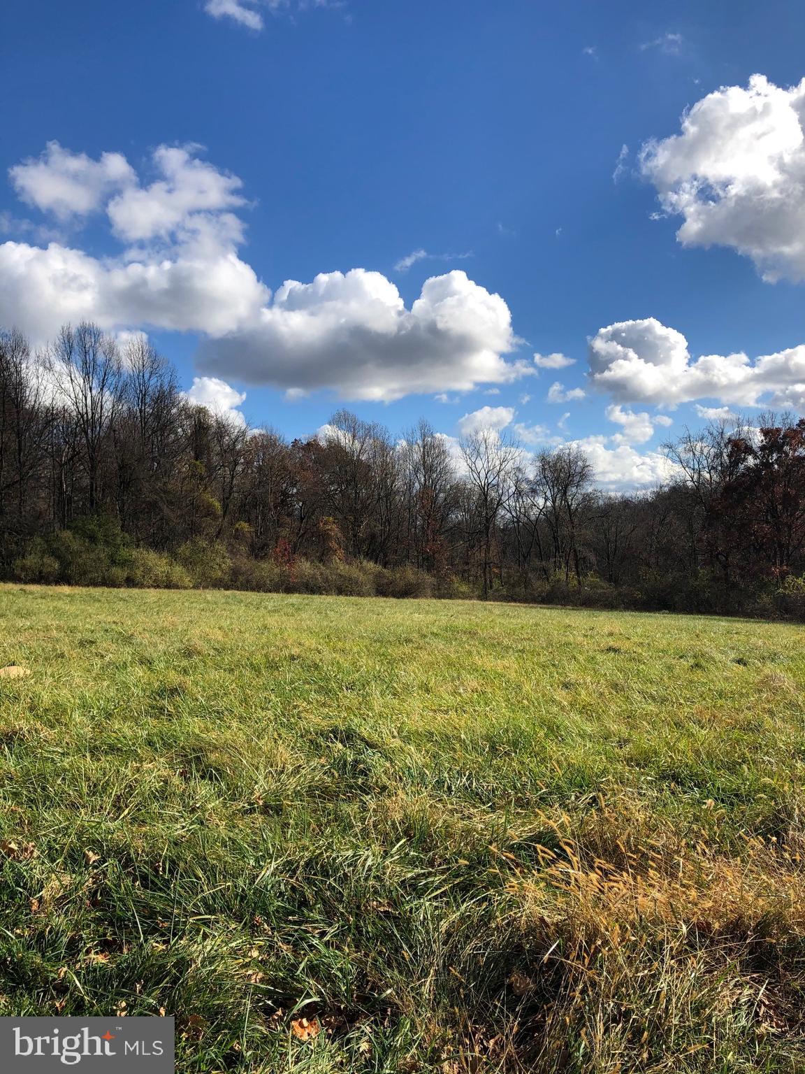 4831 Round Hill Road Frederick, MD 21702 - Photo 9 of 11