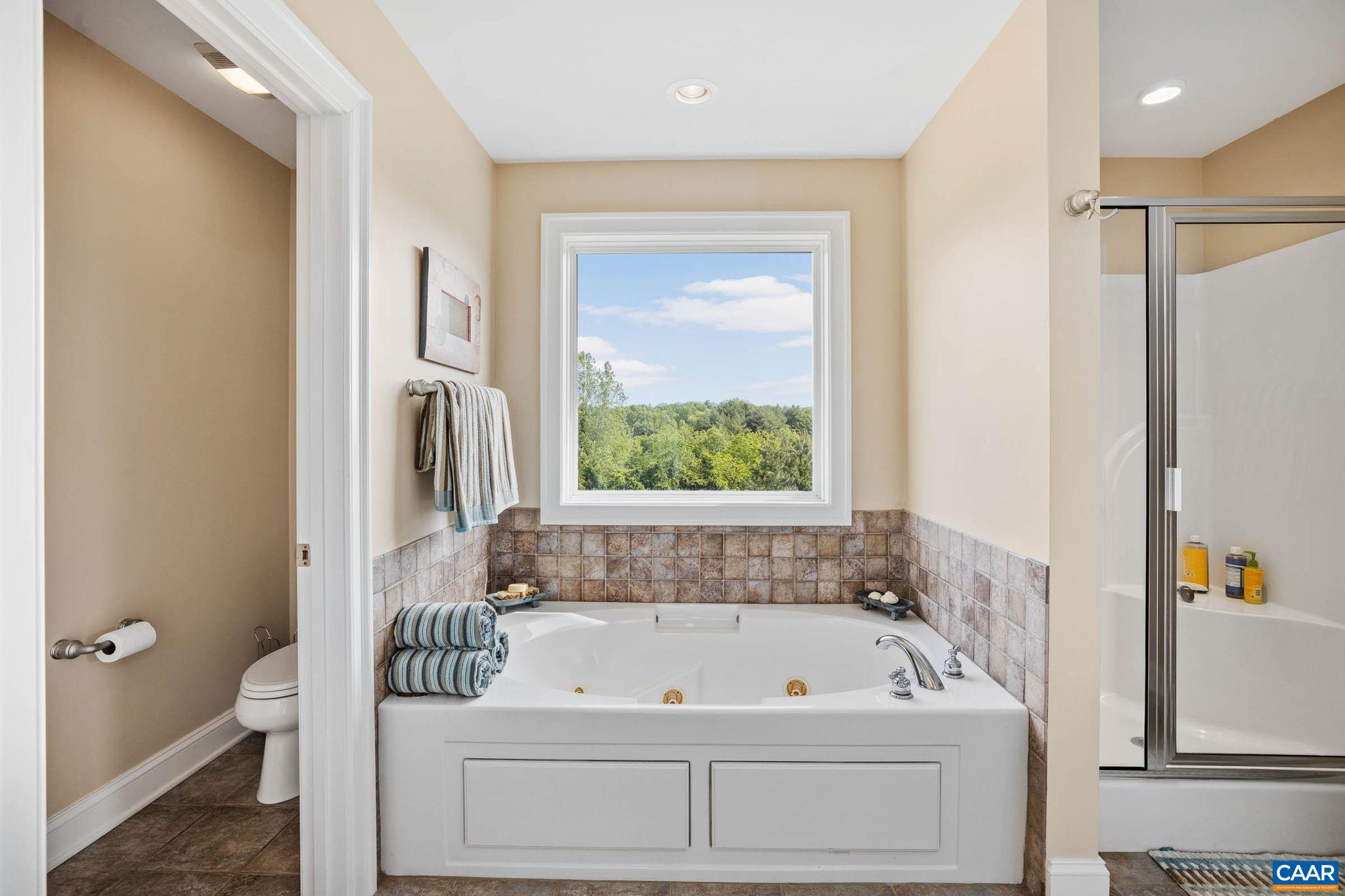 4271 Stony Point Road Keswick, VA 22947 - Photo 33 of 68 a bathroom with a tub a sink and a window