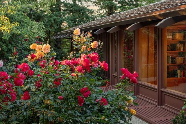 a view of outdoor space