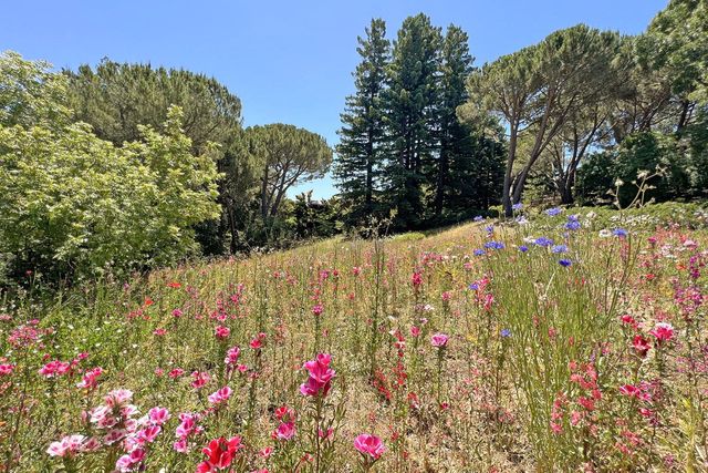 a view of yard with flowers and tree