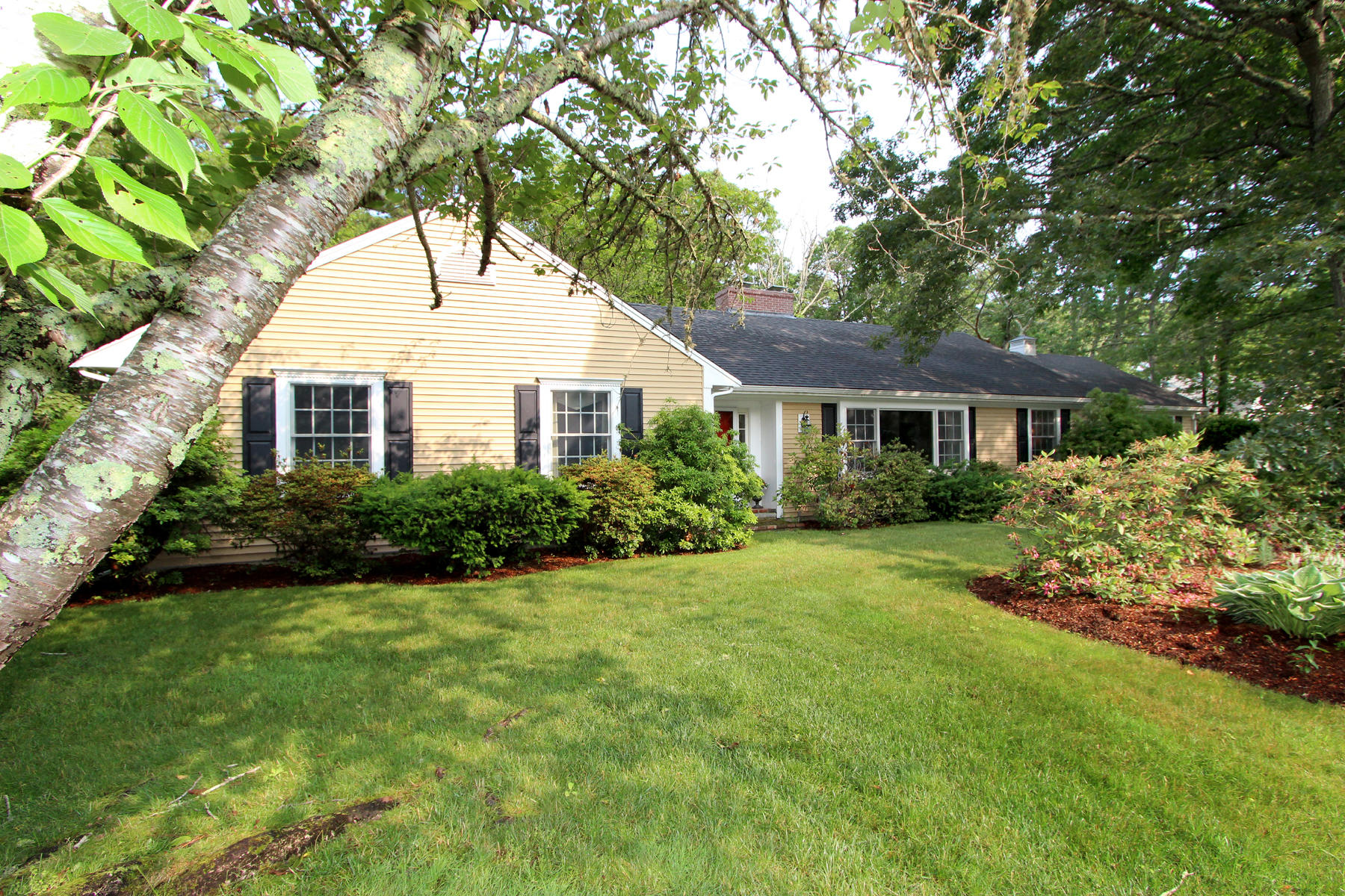 a house that has a tree in front of it