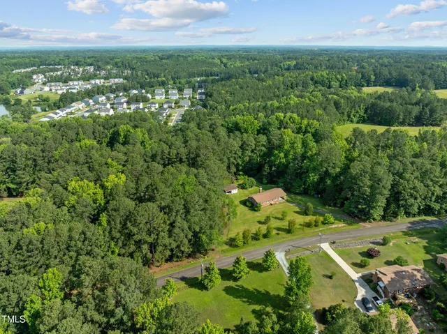 a view of a city with lush green forest