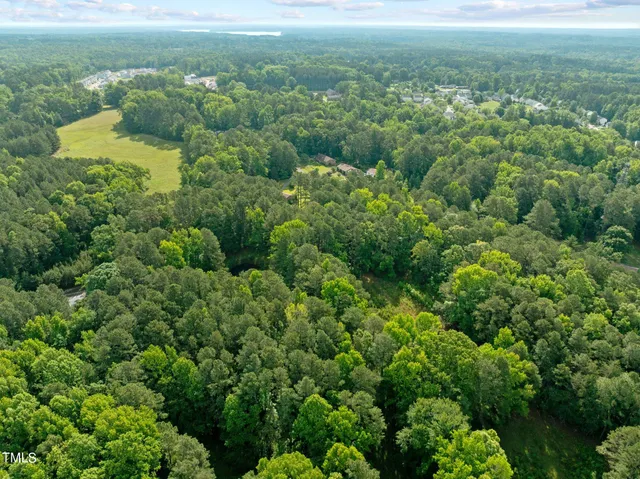 an aerial view of residential houses with outdoor space and trees