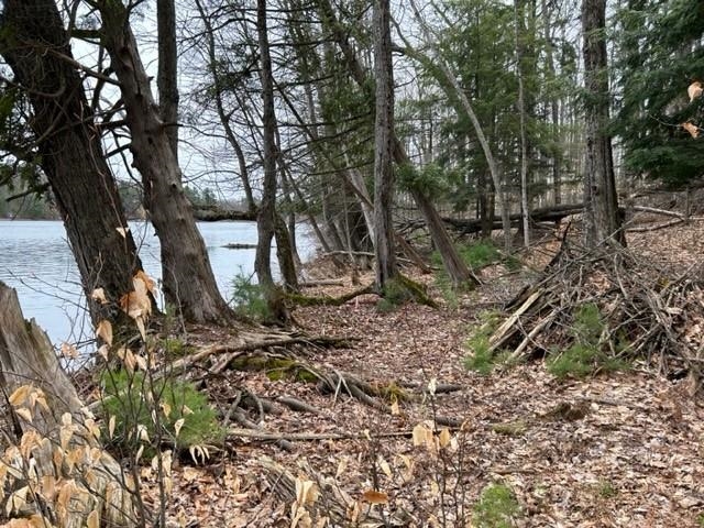 Reynolds Road, Unit LOT: B Lake Ann, MI 49650 - Photo 12 of 21