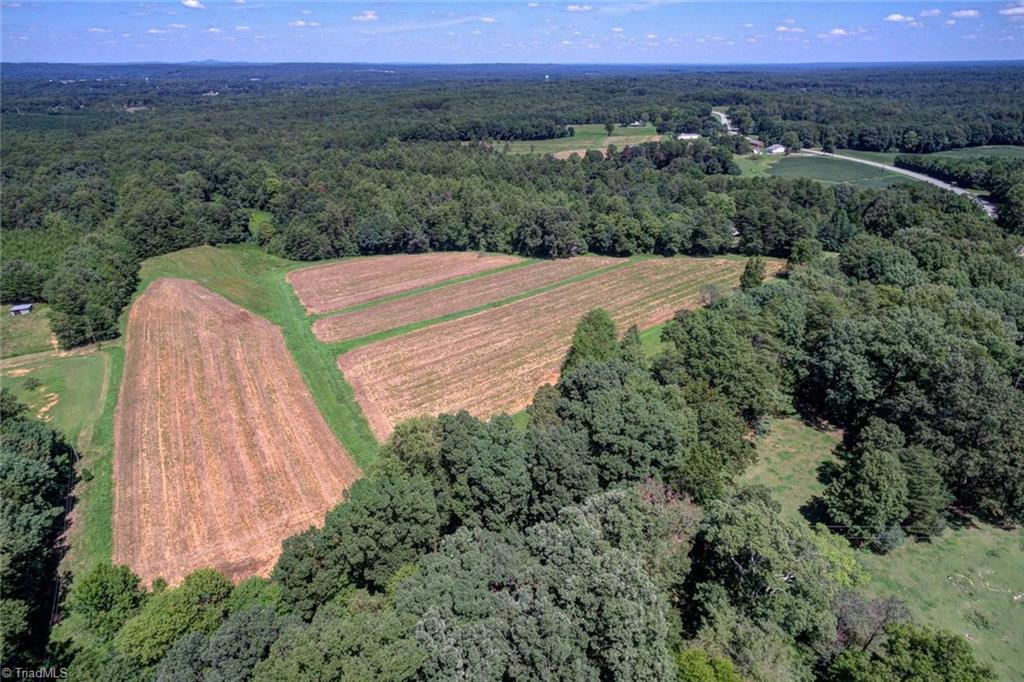 1030 Ellisboro Road Madison, NC 27025 - Photo 1 of 30 Aerial View of Farm. Photo was taken back towards Ellisboro Rd, looking out over the fields and forest.