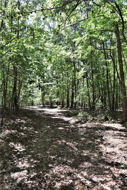 1030 Ellisboro Road Madison, NC 27025 - Photo 11 of 30 Wonderful trail leading into the woods. Several good trails within the property line allows easier access into the farm