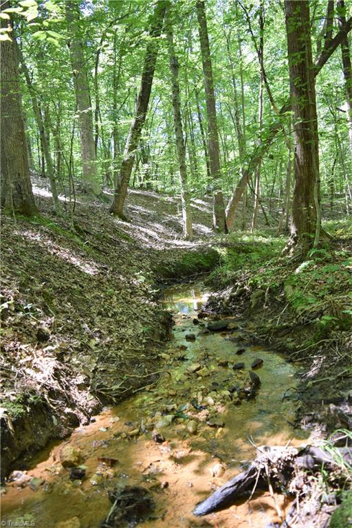 1030 Ellisboro Road Madison, NC 27025 - Photo 9 of 30 Small creek flowing through property. Guarded by the hillsides, full of mature hardwoods!