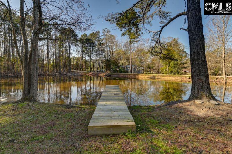 162 Baskin Hills Road Lexington, SC 29072 - Photo 16 of 58