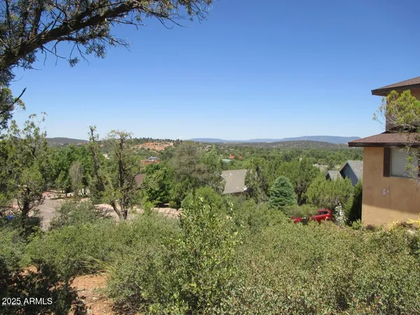 a view of a garden