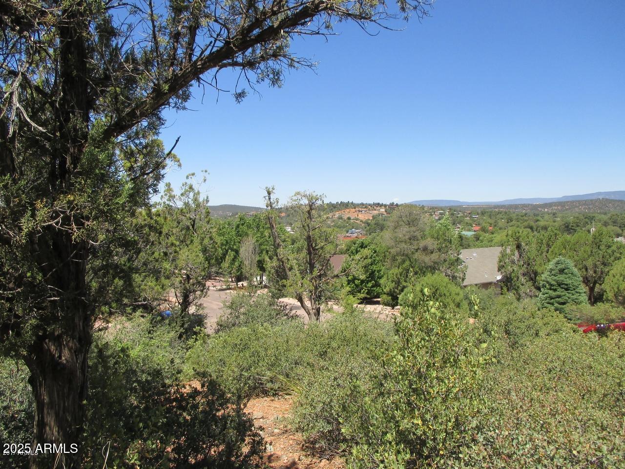 511 Saguaro Circle, Unit 20 Payson, AZ 85541 - Photo 3 of 6 a view of a green field with lots of bushes